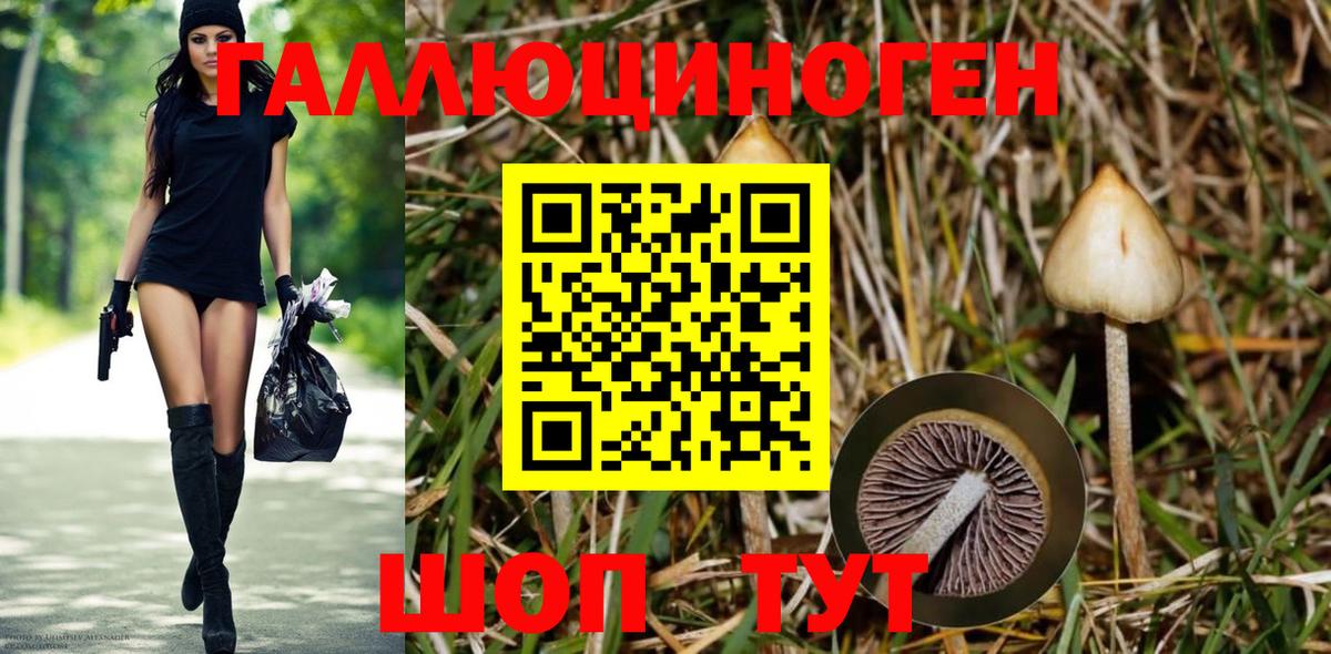 Алапаевск  Псилоцибиновые грибы Magic Shrooms  Вход с VPN 